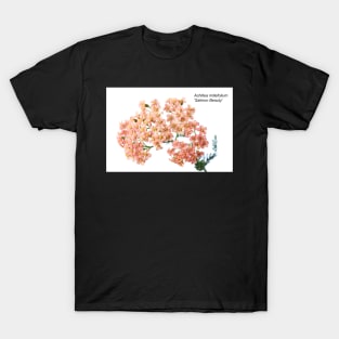 Achillea millefolium &#39;Salmon Beauty&#39; T-Shirt